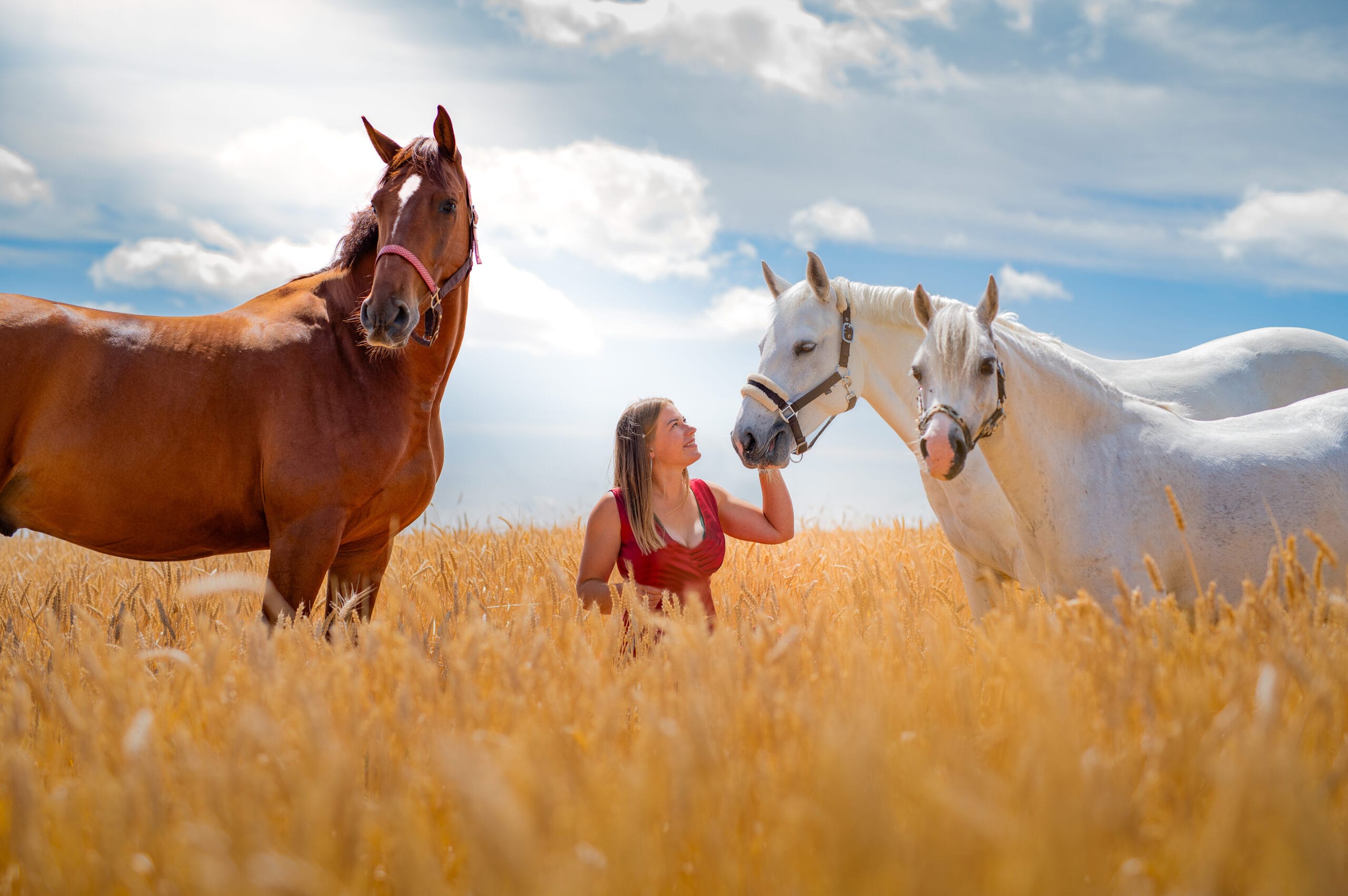 chevaux cheval photographe photo extérieur lieux insolites beauté chateau ruines cascade original coucher de soleil golden hours complicité naturelle photographe professionnelle contre jours couleurs alsace lorraine grand est saverne strasbourg colmar mulhouse nancy metz luxembourg suisse allemagne belgique belfort mouvement monté liberté Lyon paris région parisienne poney champ de blé