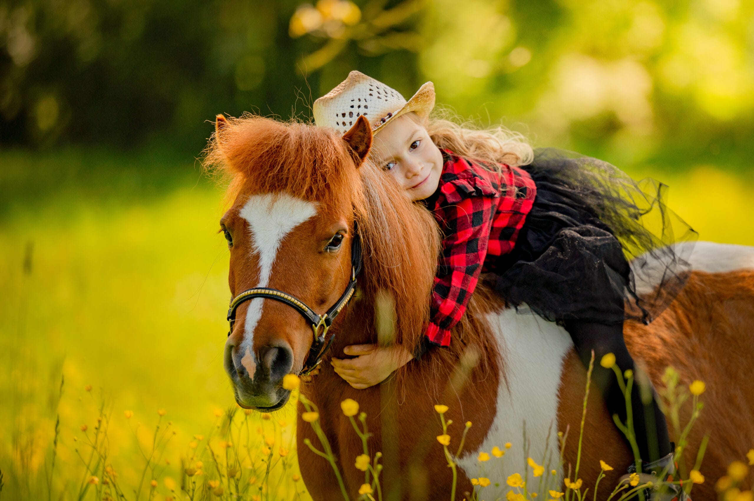 chevaux cheval photographe photo extérieur lieux insolites beauté chateau ruines cascade original coucher de soleil golden hours complicité naturelle photographe professionnelle contre jours couleurs alsace lorraine grand est saverne strasbourg colmar mulhouse nancy metz luxembourg suisse allemagne belgique belfort mouvement monté liberté Lyon paris région parisienne poney petite fille