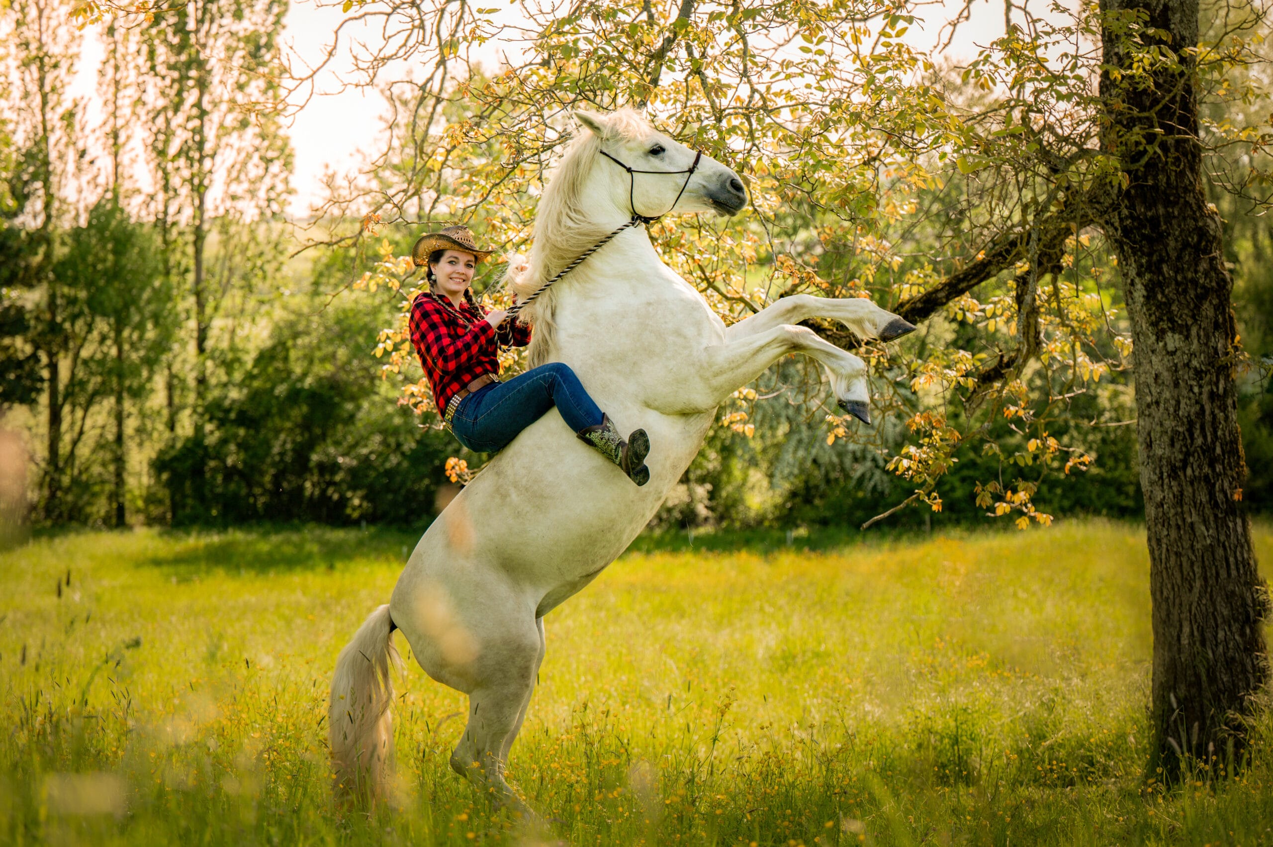 chevaux cheval photographe photo extérieur lieux insolites beauté chateau ruines cascade original coucher de soleil golden hours complicité naturelle photographe professionnelle contre jours couleurs alsace lorraine grand est saverne strasbourg colmar mulhouse nancy metz luxembourg suisse allemagne belgique belfort mouvement monté liberté Lyon paris région parisienne cabré