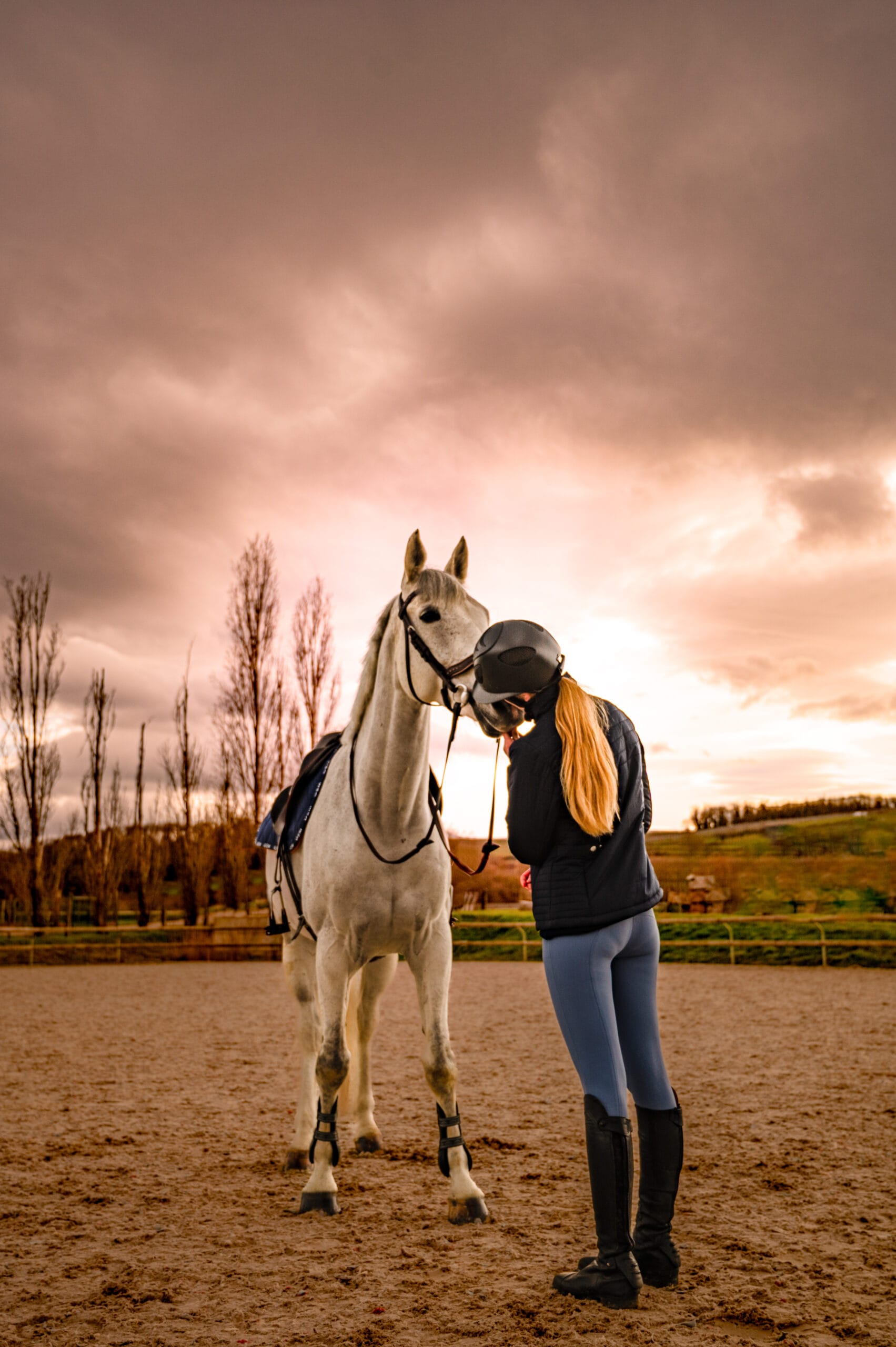 chevaux cheval photographe photo extérieur lieux insolites beauté chateau cascade original coucher de soleil naturelle photographe professionnelle contre jours couleurs alsace lorraine grand est saverne strasbourg colmar mulhouse nancy metz luxembourg suisse allemagne belgique belfort mouvement monté liberté Lyon paris région parisienne