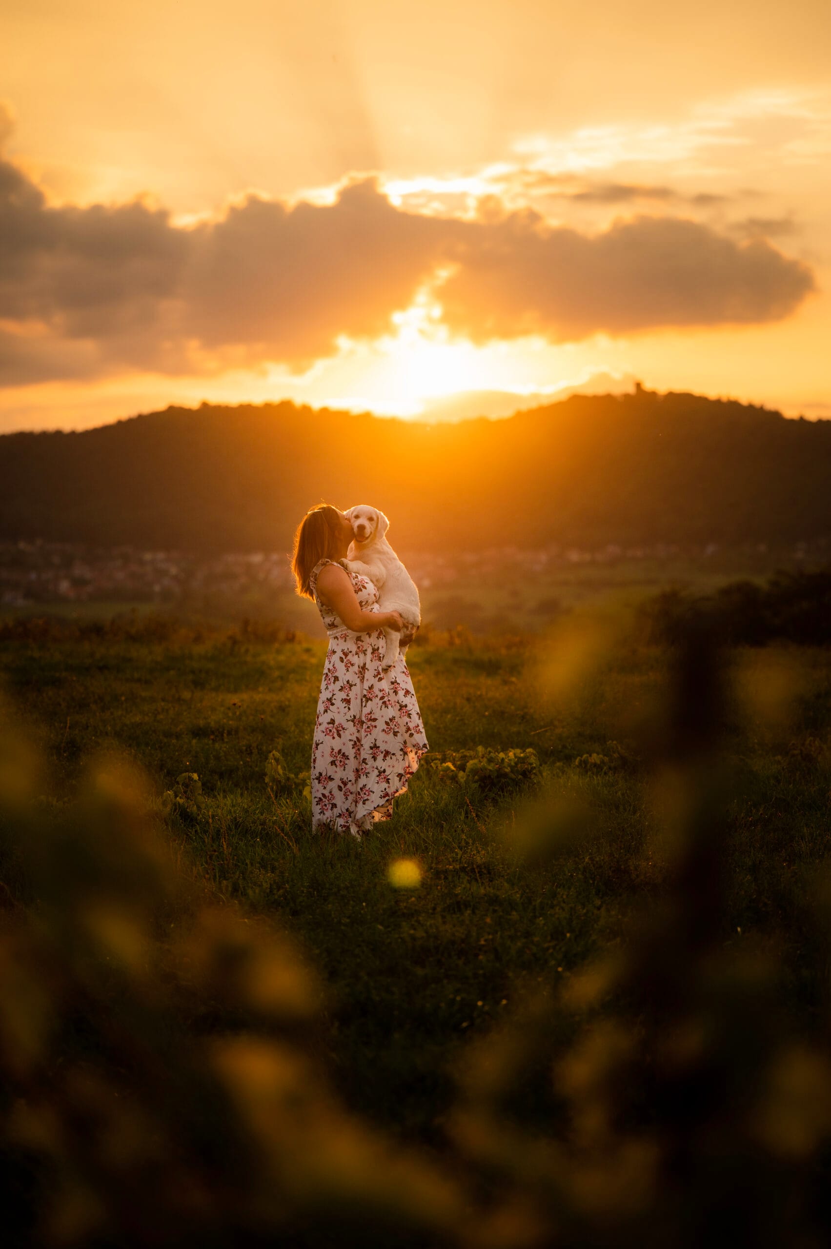 photo chat chaton chien chiot photographe professionnelle animalier grand est alsace lorraine bas rhin haut rhin strasbourg saverne nancy metz sarrebourg selestat
