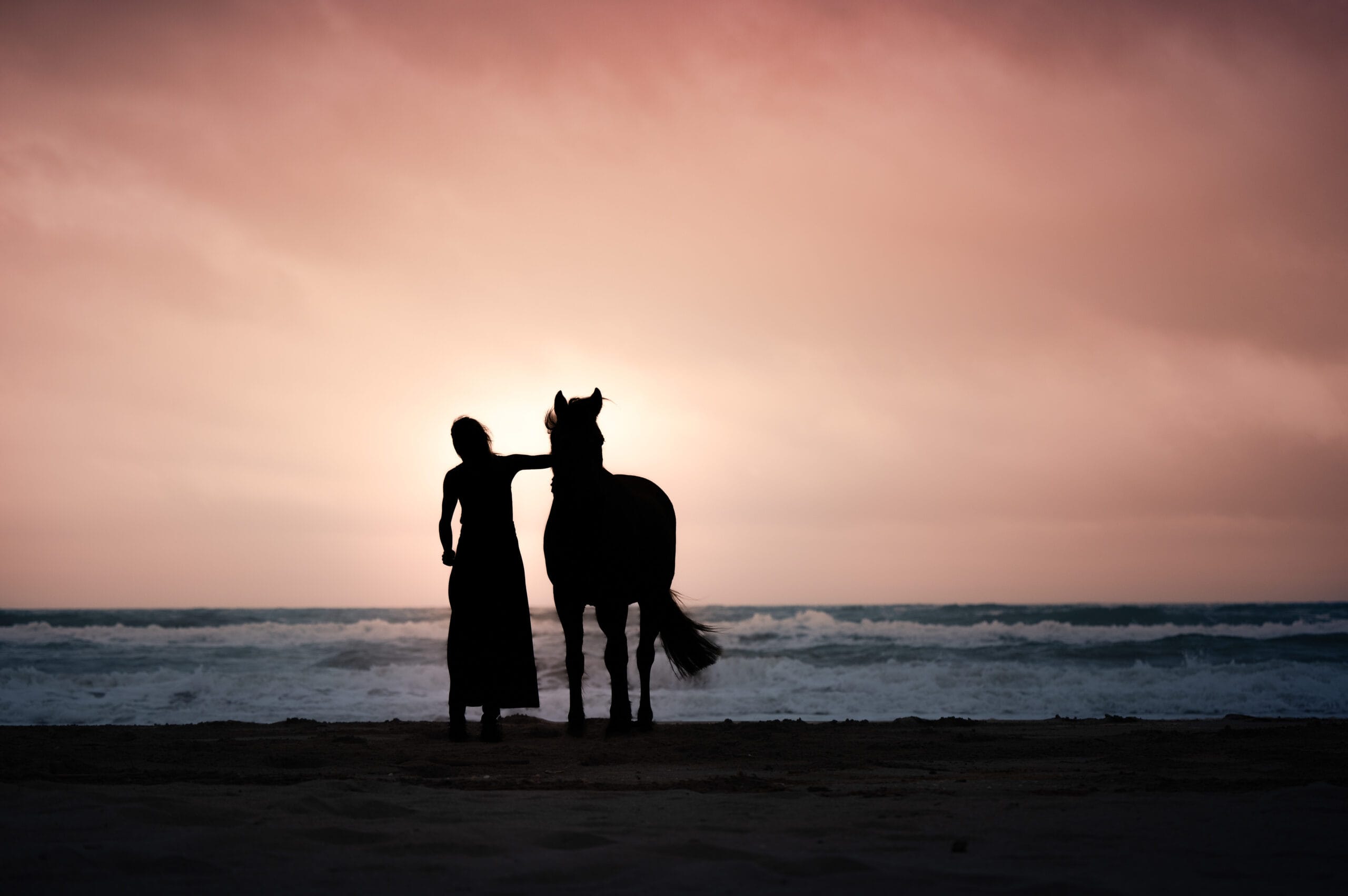 chevaux cheval photographe photo extérieur lieux insolites beauté chateau cascade original coucher de soleil golden hours complicité naturelle photographe professionnelle contre jours couleurs alsace lorraine grand est saverne strasbourg colmar mulhouse nancy metz luxembourg suisse allemagne belgique belfort rose