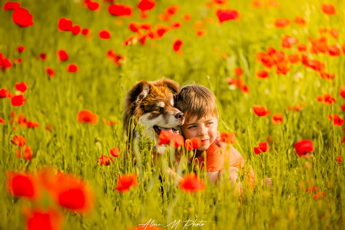photo photographie chien alsace lorraine saverne strasbourg bulle savon extérieur naturel fleur studio fond noir enfant chiot nancy metz portrait yeux montagne lac neige dehors nature poudre couleur craie powder Marmoutier lac mer retouche art coquelicots colza